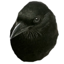 20 KB
